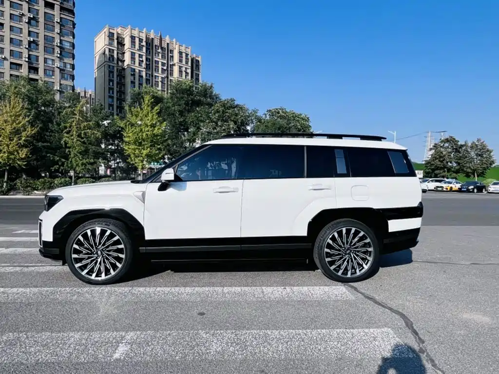 Hyundai Santa Fe — миниатюра 20