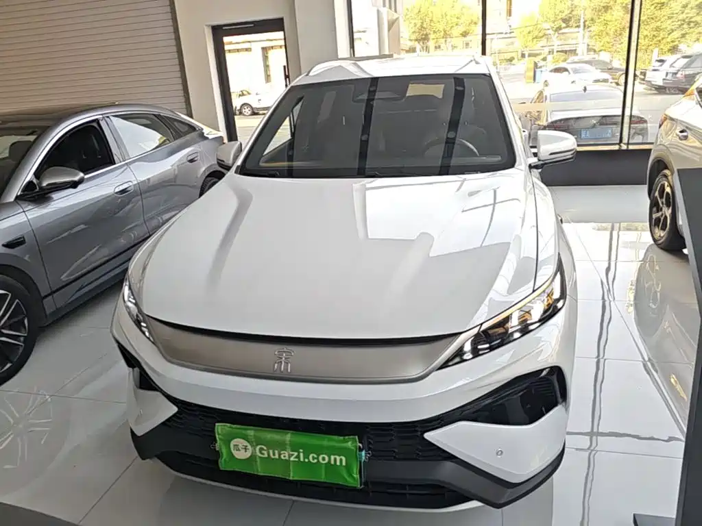 BYD Pro New Energy — миниатюра 3