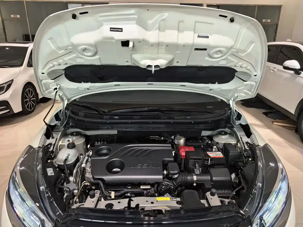 Nissan Kicks — миниатюра 17