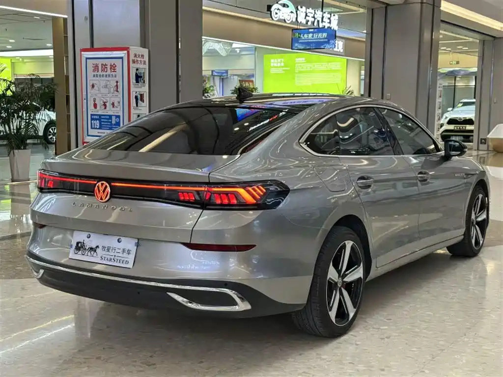 Volkswagen Lamando — миниатюра 8