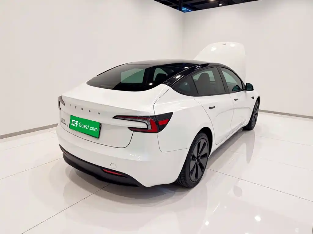 Tesla Model 3 — миниатюра 6
