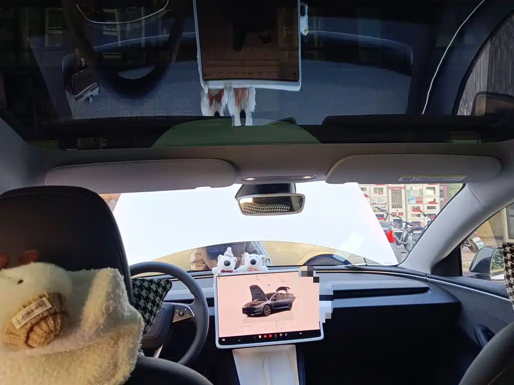 Tesla Model 3 — миниатюра 19