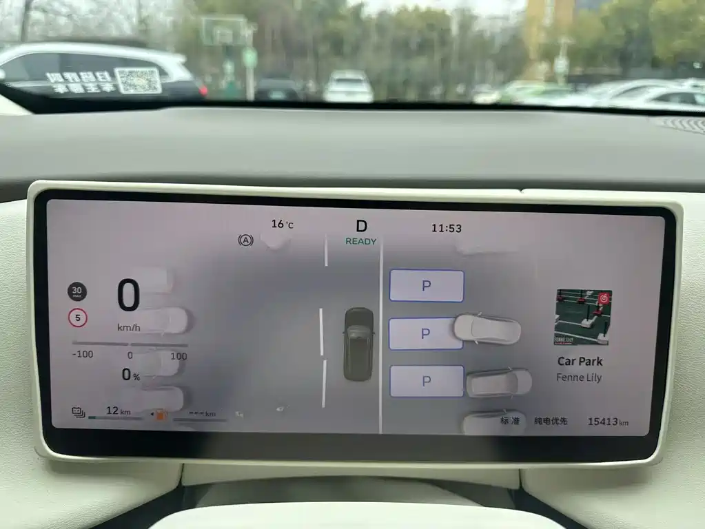 WEI PAI WEI BRAND BLUE MOUNTAIN