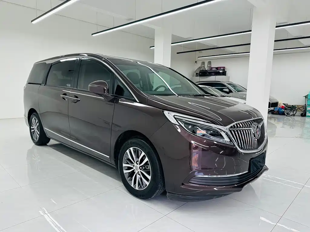 Buick GL8 — миниатюра 3