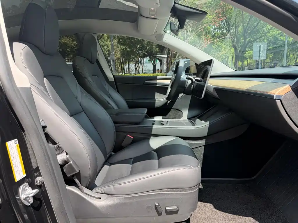 Tesla Model Y — миниатюра 7