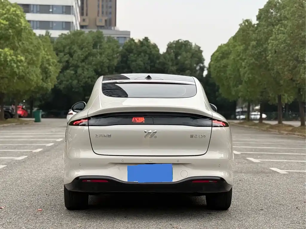 IM IM LS6 — миниатюра 5