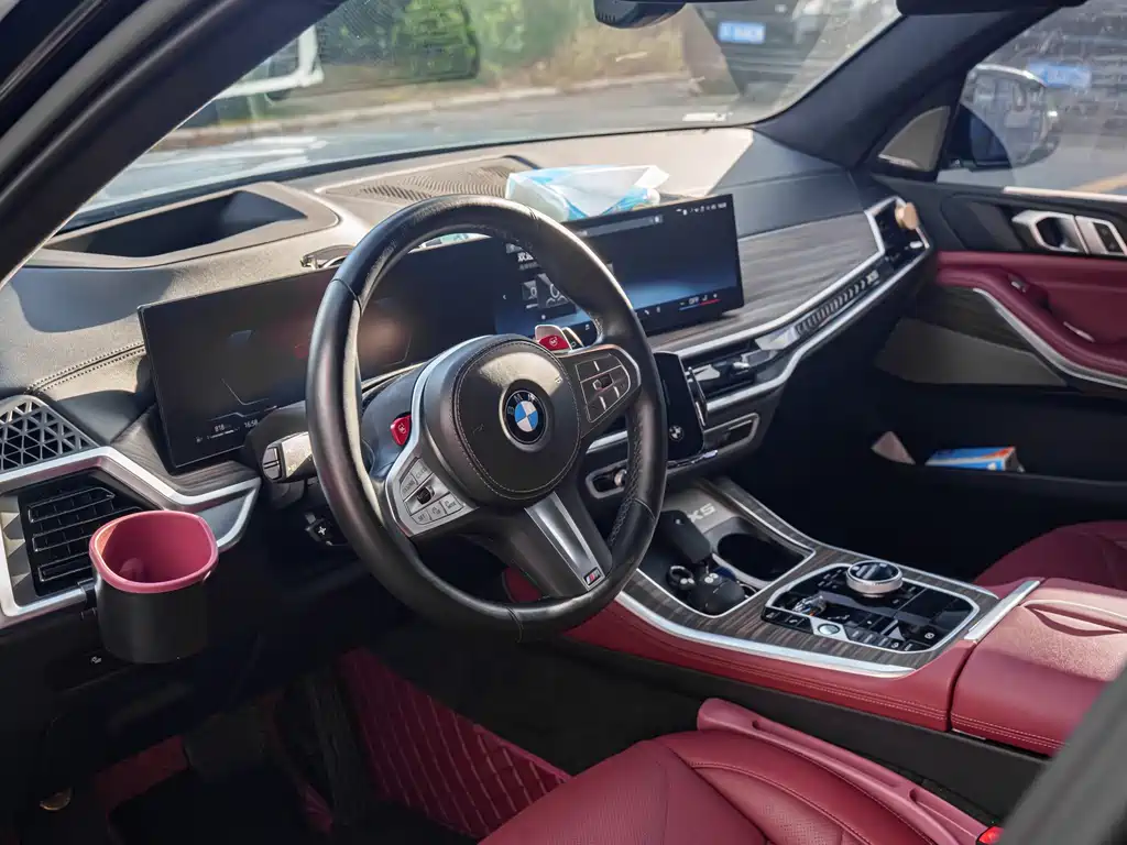 BMW X5 — миниатюра 9