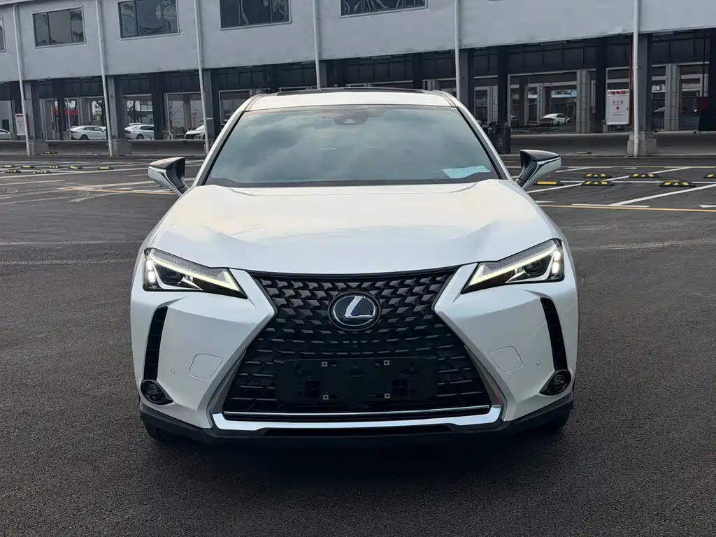 Lexus UX New Energy — миниатюра 2