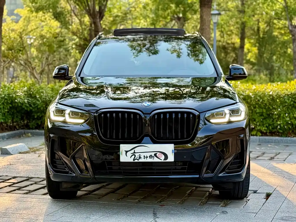 BMW X3 — миниатюра 3