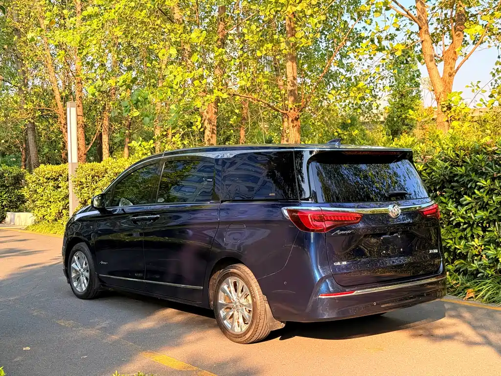 Buick GL8 — миниатюра 3
