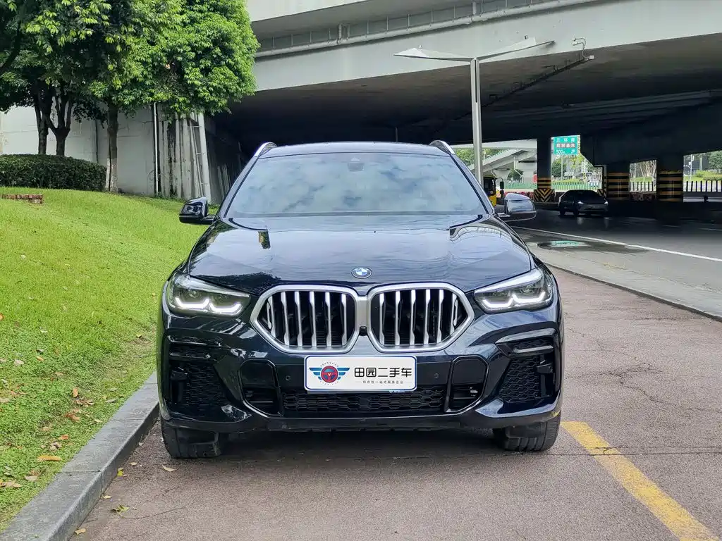 BMW X6 — миниатюра 2