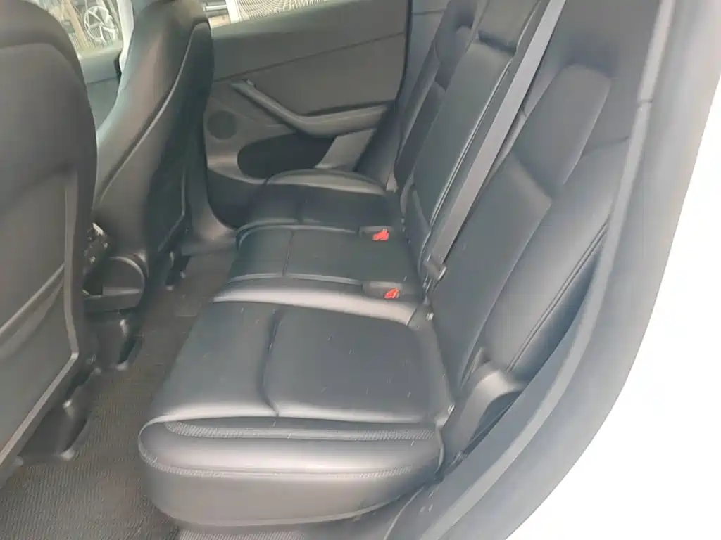 Tesla Model Y — миниатюра 17