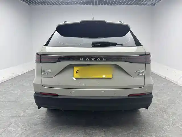 Haval Xiaolong MAX — миниатюра 12