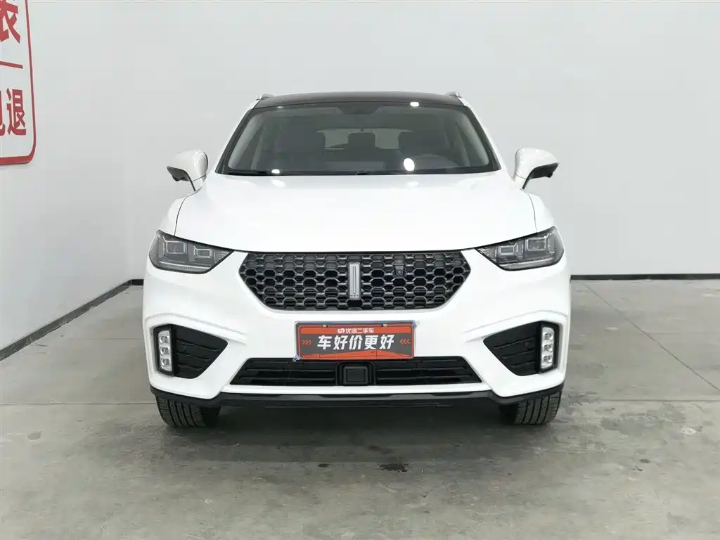 WEI PAI WEI BRAND VV5