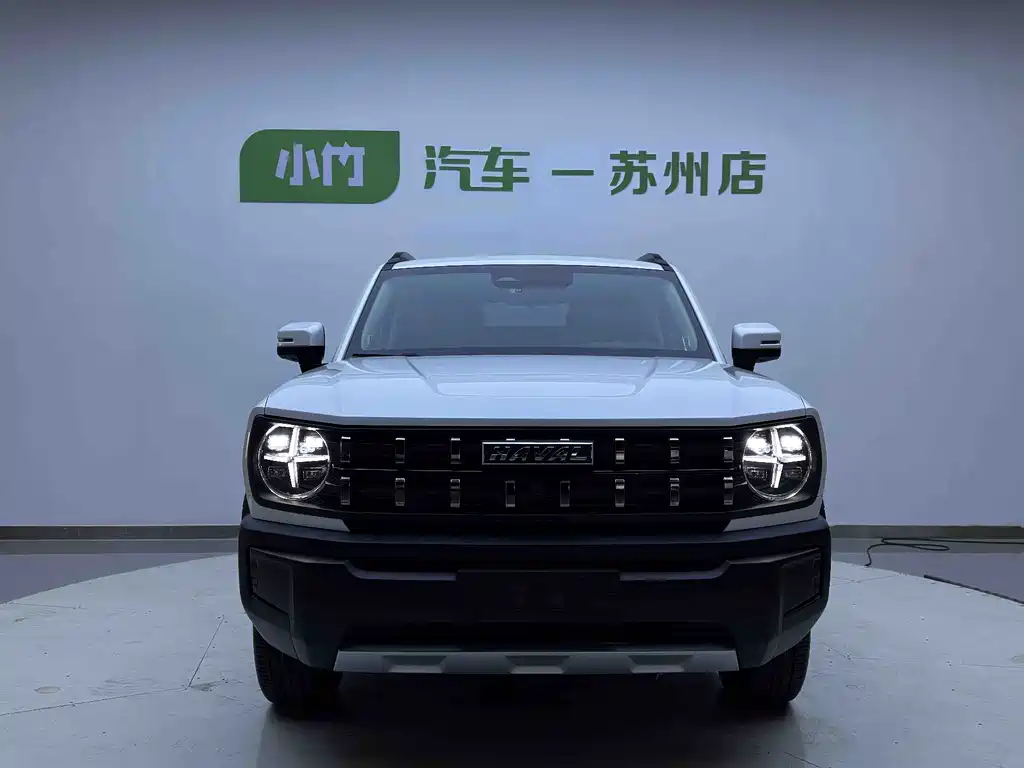 Haval Cool Dog — миниатюра 5