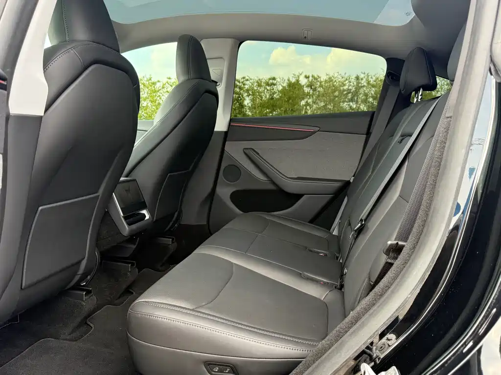 Tesla Model Y — миниатюра 10