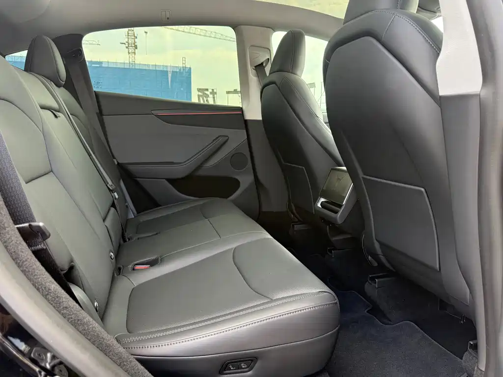 Tesla Model Y — миниатюра 11