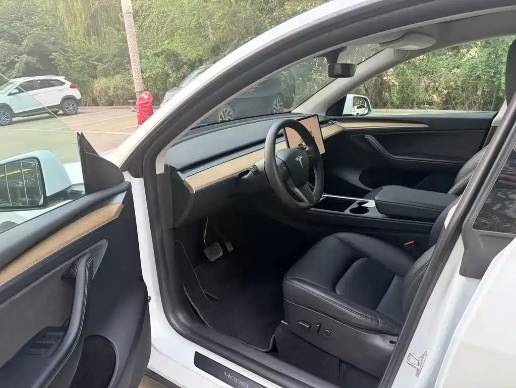Tesla Model Y — миниатюра 6