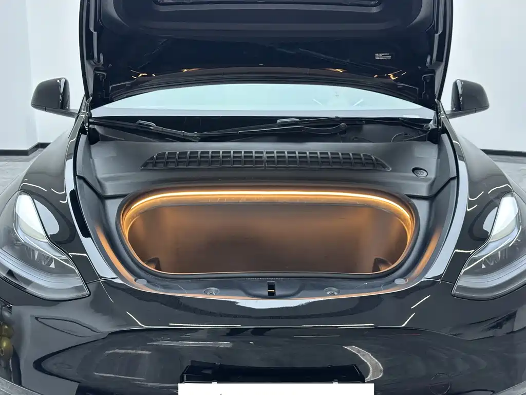 Tesla Model Y — миниатюра 2