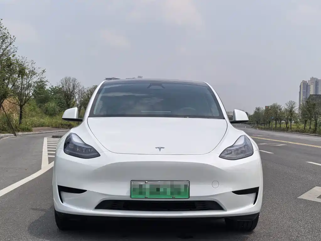 Tesla Model Y — миниатюра 2
