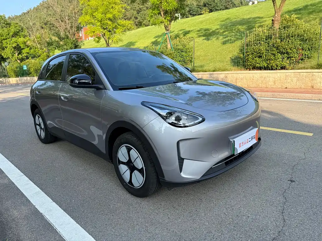 Geely Geome Xingyuan 2025 310km