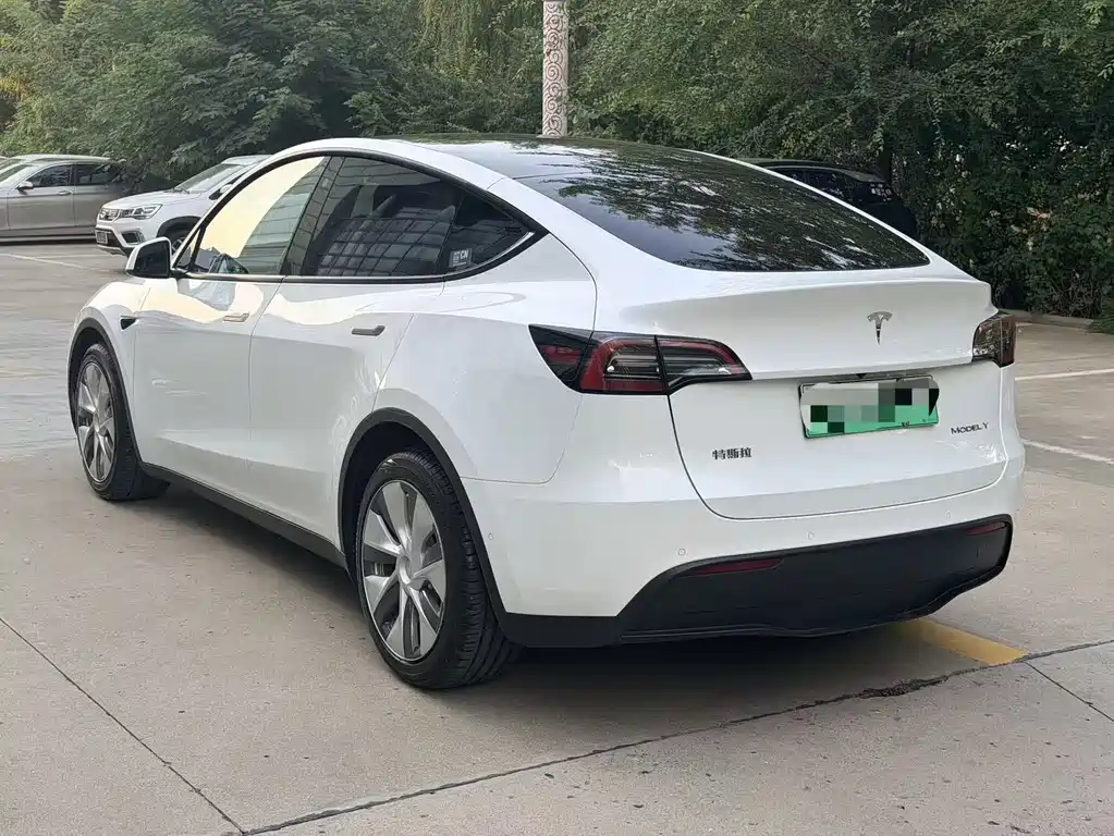 Tesla Model Y — миниатюра 3