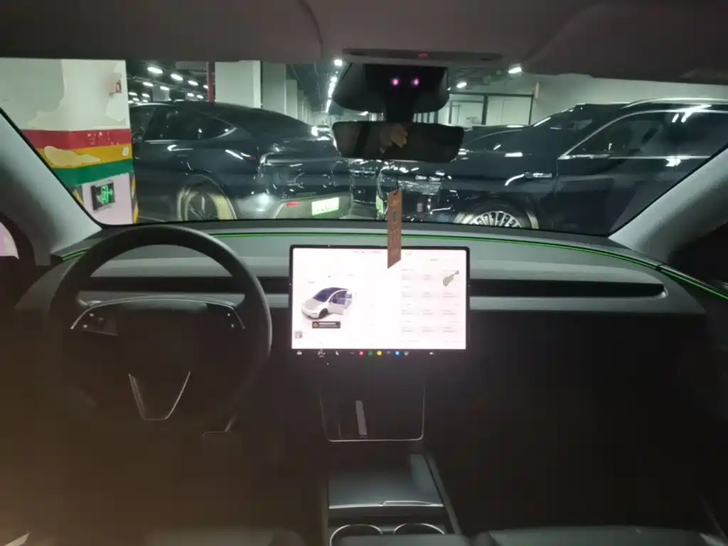 Tesla Model Y — миниатюра 10