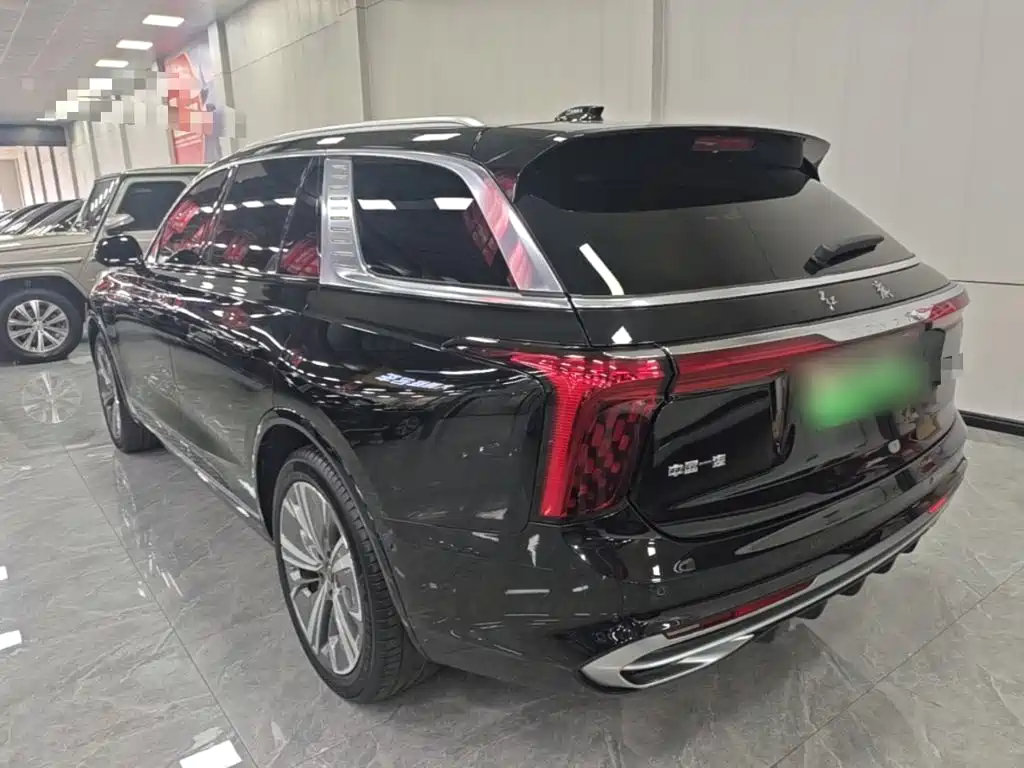 Hongqi Hongqi E-HS9 — миниатюра 5