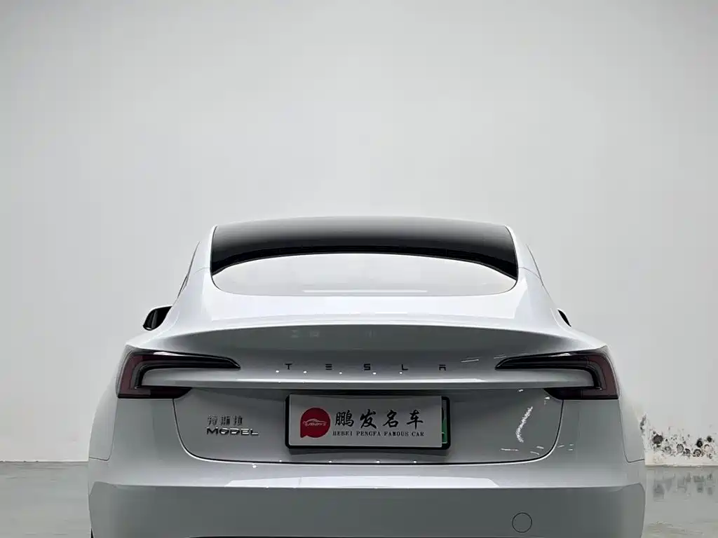 Tesla Model 3 — миниатюра 16