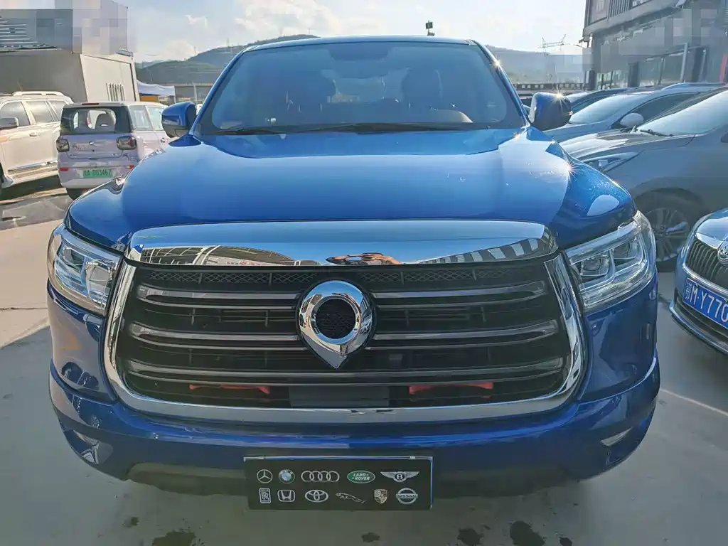 Great Wall Pao — миниатюра 2