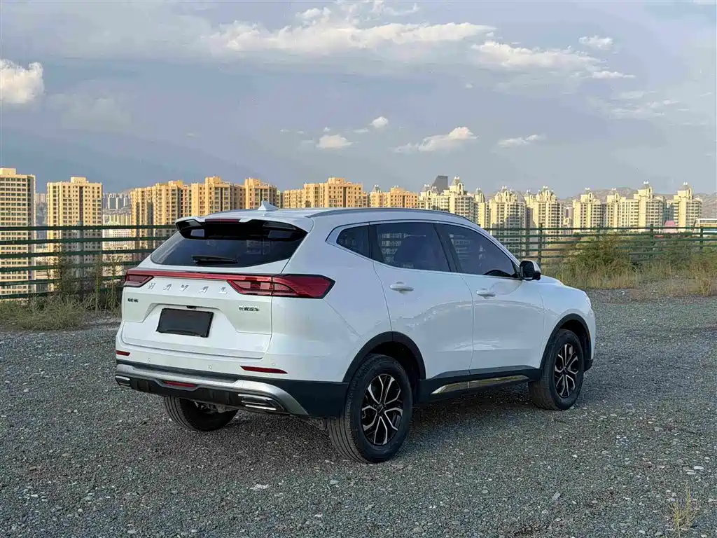 Haval H6 — миниатюра 4