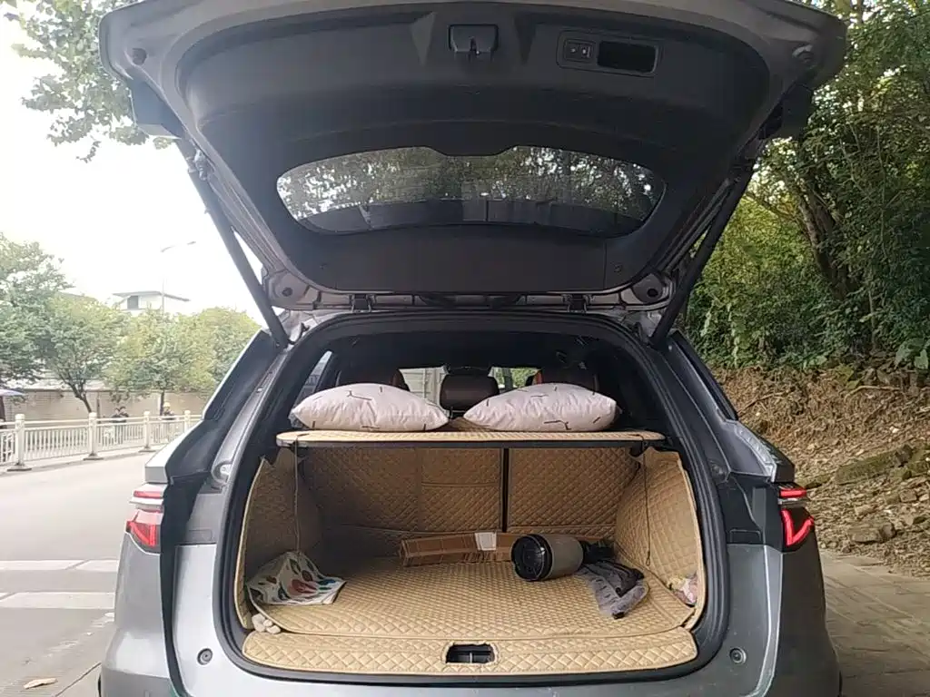 BYD Pro New Energy — миниатюра 19