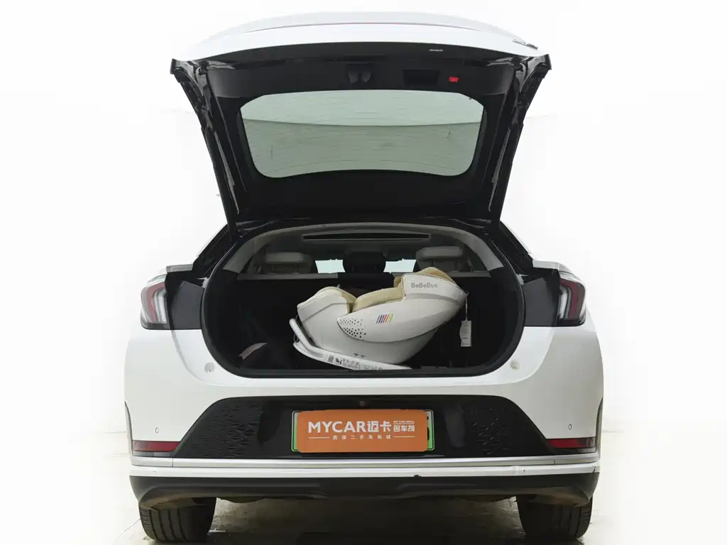 ARCFOX EXTREME FOX POLAR FOX ALPHA S