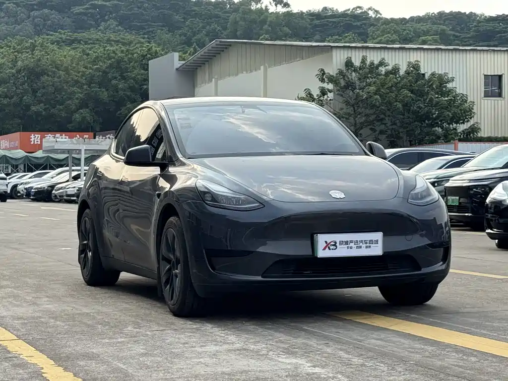 Tesla Model Y — миниатюра 3