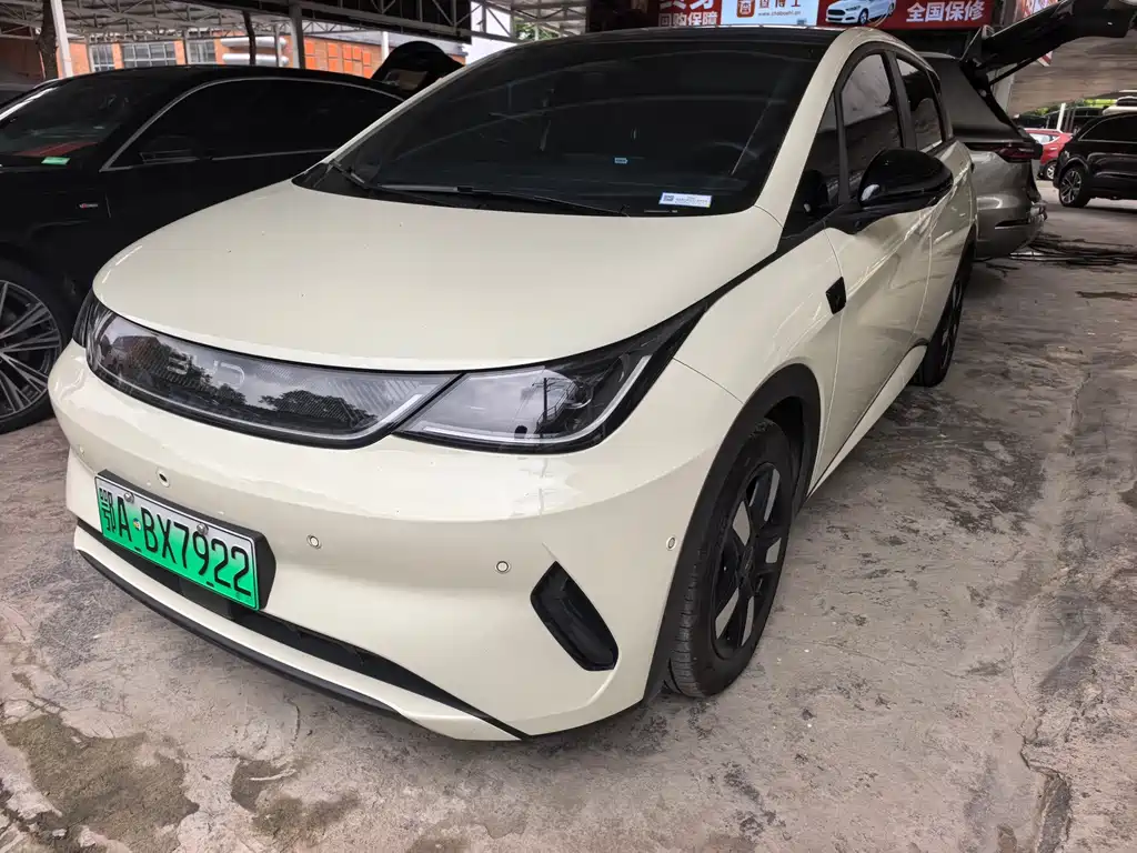 Byd Dolphin 2025