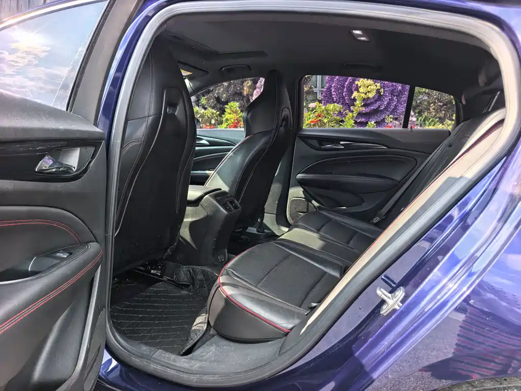 Buick Regal — миниатюра 15