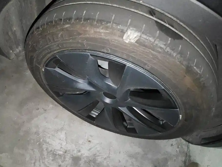 Tesla Model Y — миниатюра 6
