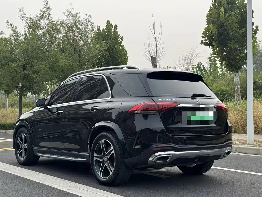 Mercedes-Benz GLE New Energy — миниатюра 8