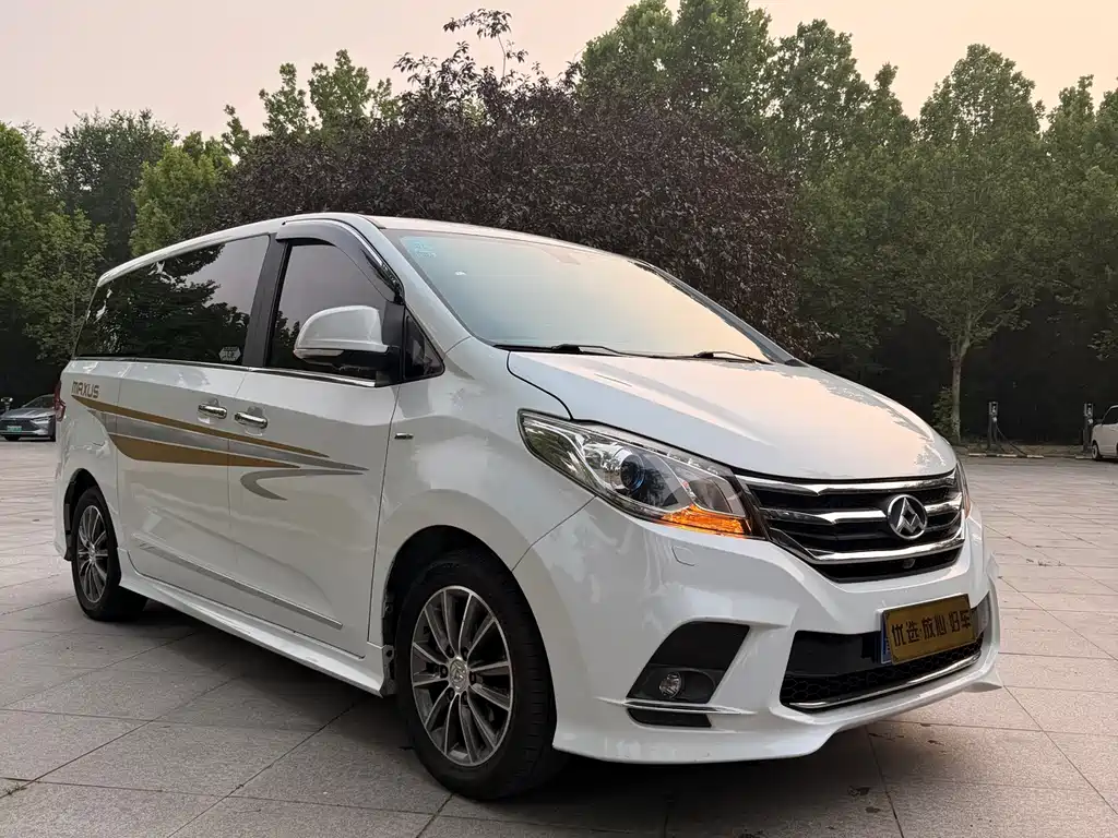 Maxus G10 2.0T Auto Luxury Executive Edition, фото 10