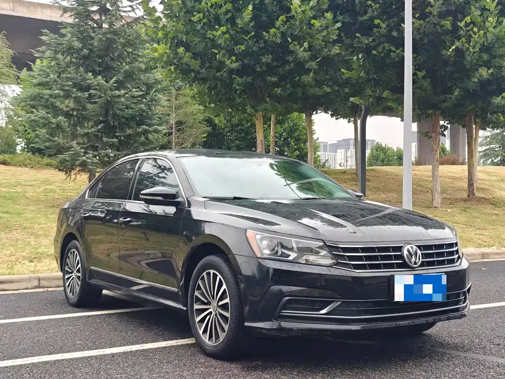 Volkswagen Passat 2019 2.5L AT