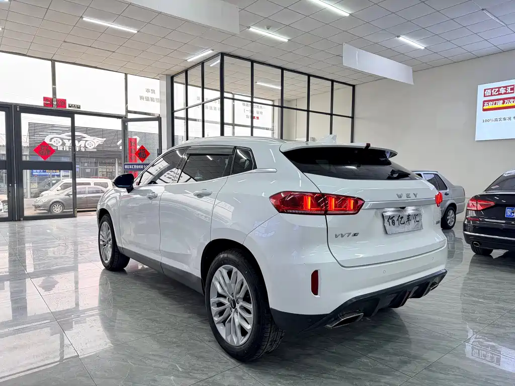 WEI PAI WEI BRAND VV7