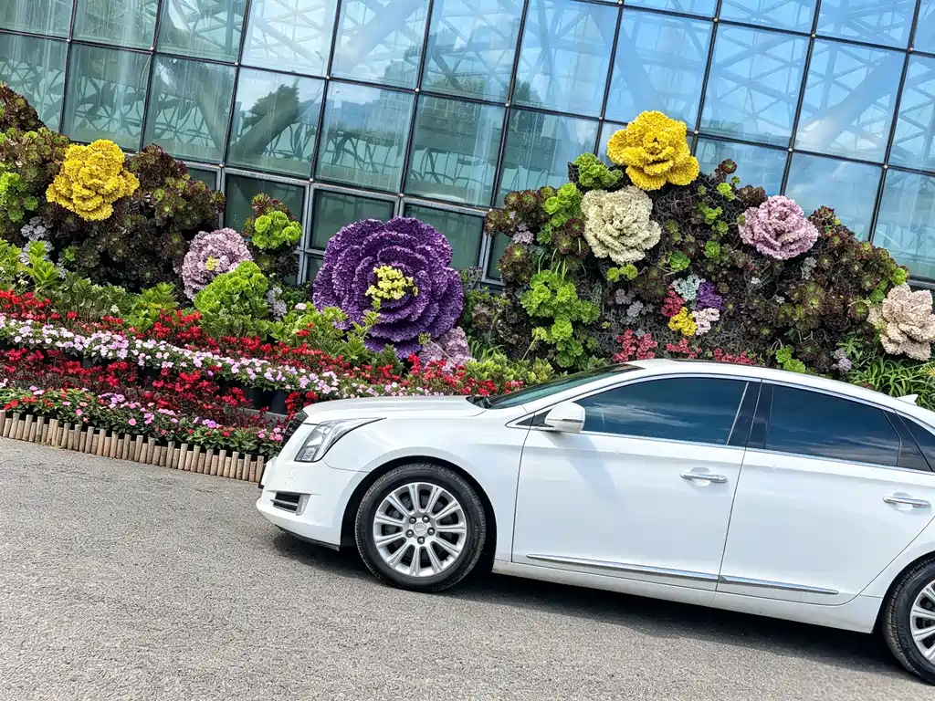 Cadillac XTS — миниатюра 3