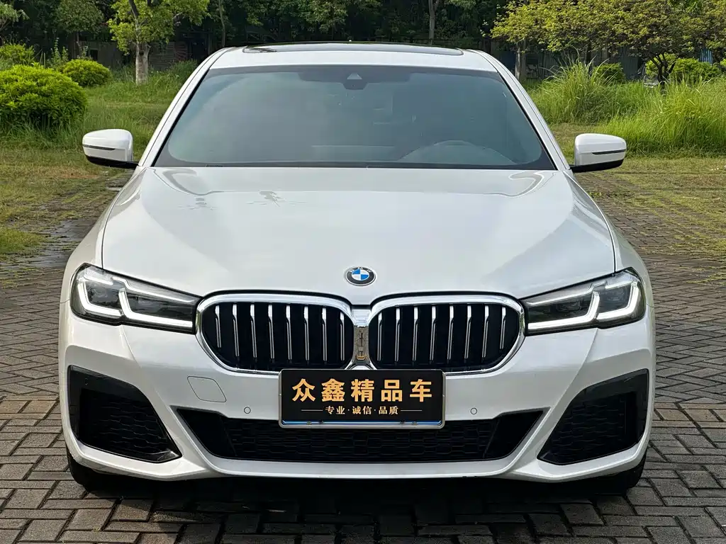 BMW 5 Series — миниатюра 2