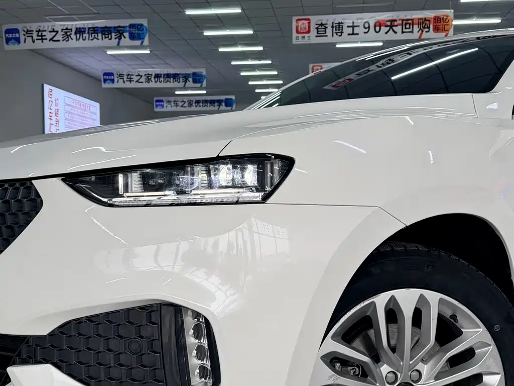 WEI PAI WEI BRAND VV7