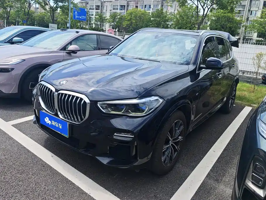 BMW X5 New Energy (Import)