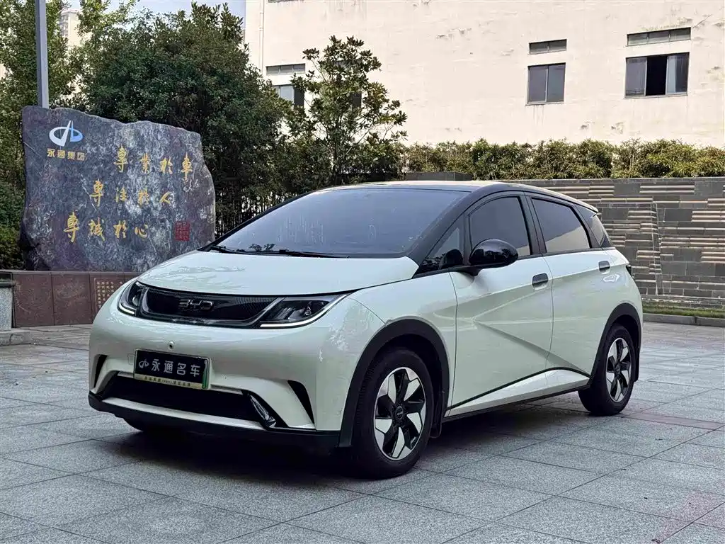BYD Dolphin