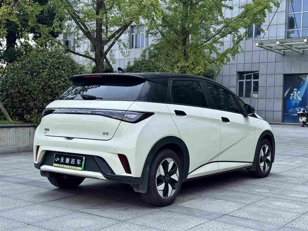 BYD Dolphin — миниатюра 11