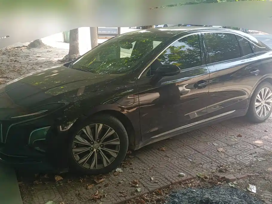 Hongqi Hongqi E-QM5