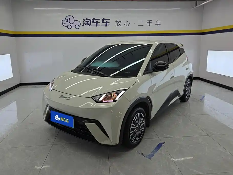 BYD Seagull
