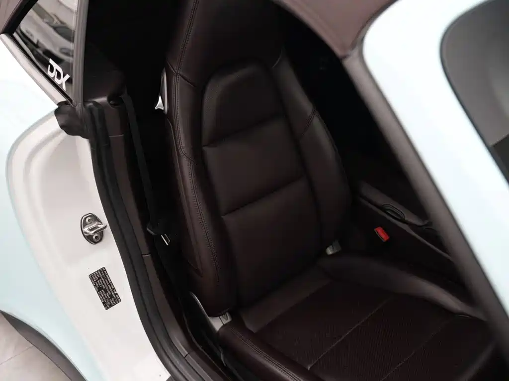 Porsche 911 — миниатюра 15